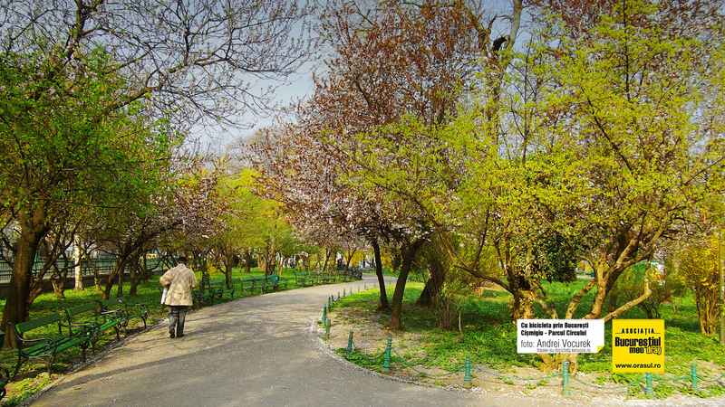 biclicleta-kerucov-03_05