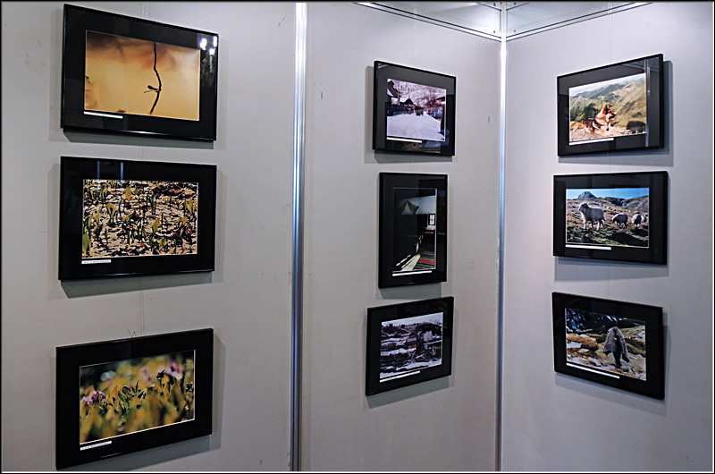 serbanvornicu_prinbucuresti_07