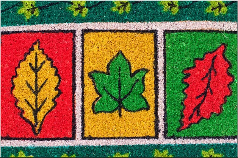 serbanvornicu_intoarcereamatache_10