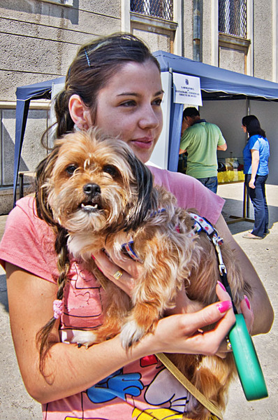 serbanvornicu_intoarcereamatache_14