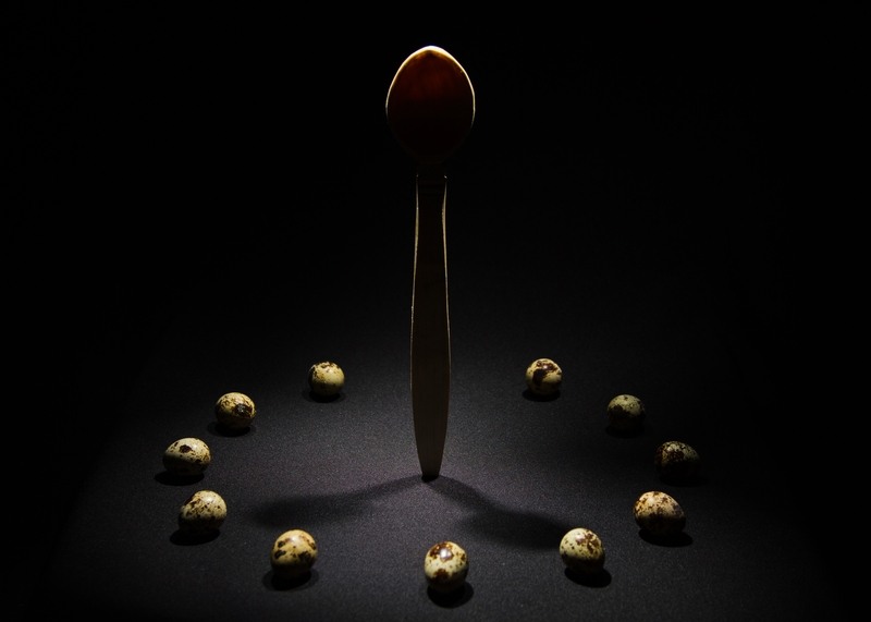 alexandru_corneanu_timpul_renasterii