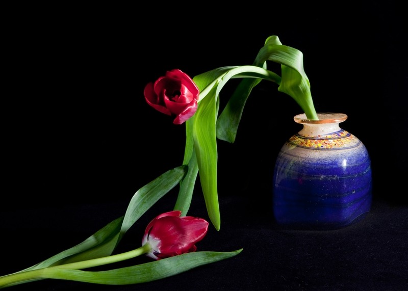 crisanta_maciuceanu_nu-te-las