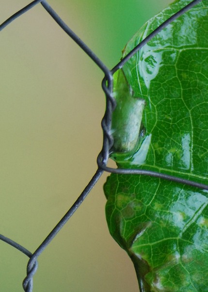 julia-kretsch-just-kiss-me