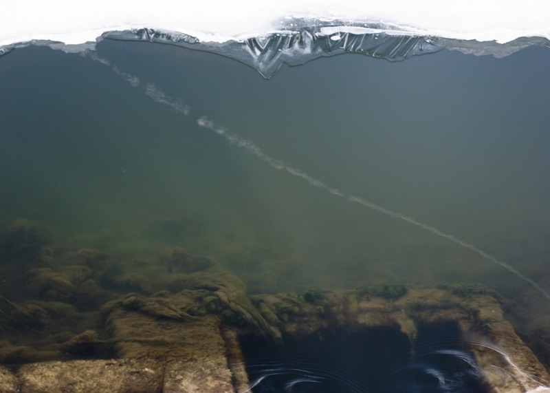 makkai-bence-incetat-iii