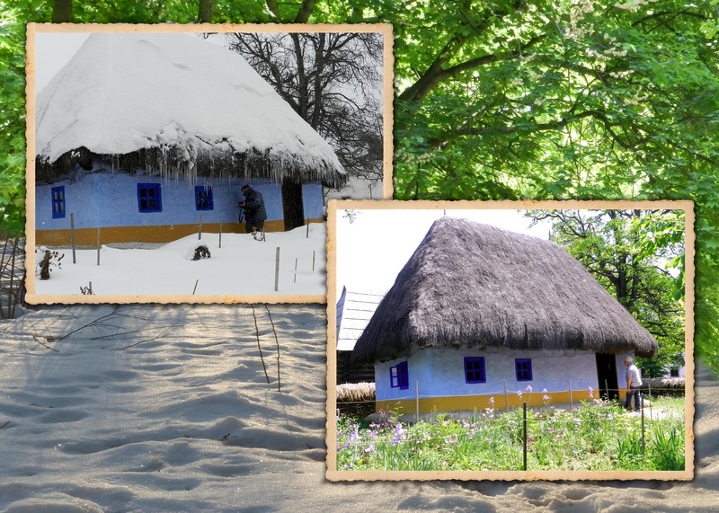 sorina-tache_anotimpuri