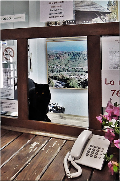 serbanvornicu_openclosed_19