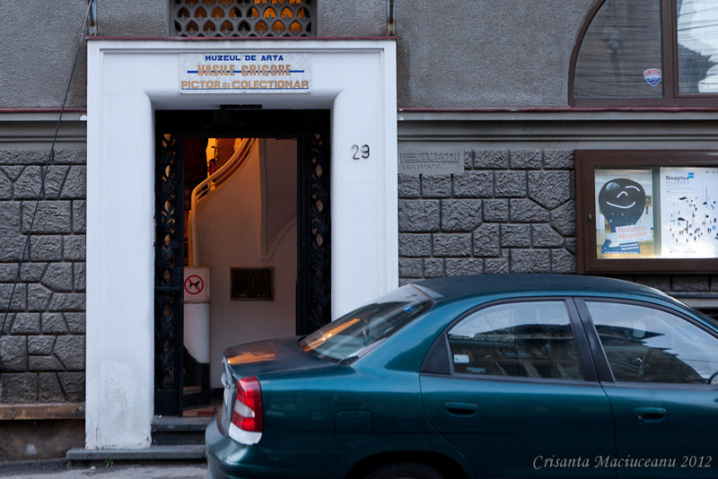 muzeul-de-arta-vasile-grigore