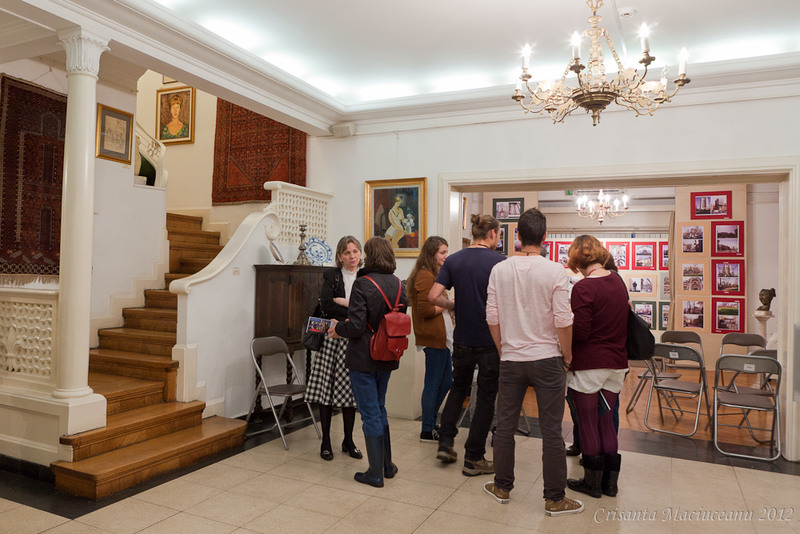 muzeul-de-arta-vasile-grigore3