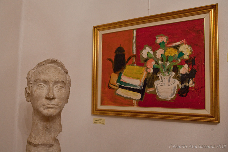 muzeul-de-arta-vasile-grigore4
