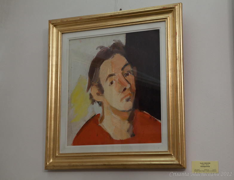 muzeul-de-arta-vasile-grigore5