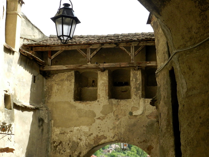 sighisoara-4