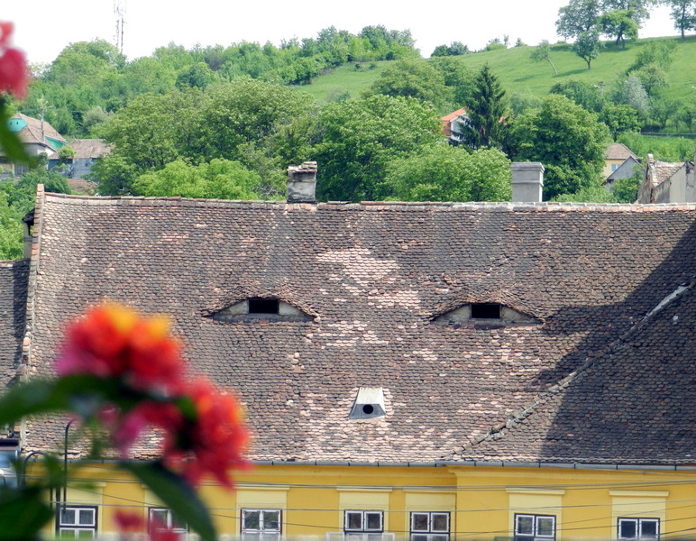 sighisoara