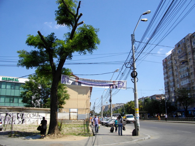 intre copac si stalp