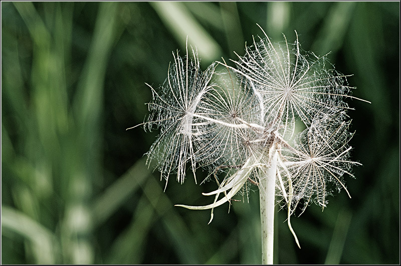 serbanvornicu_vacaresti_06