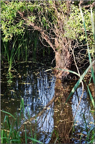 serbanvornicu_vacaresti_07