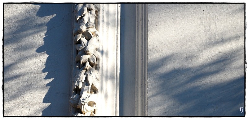 flori-jianu-lungime-28