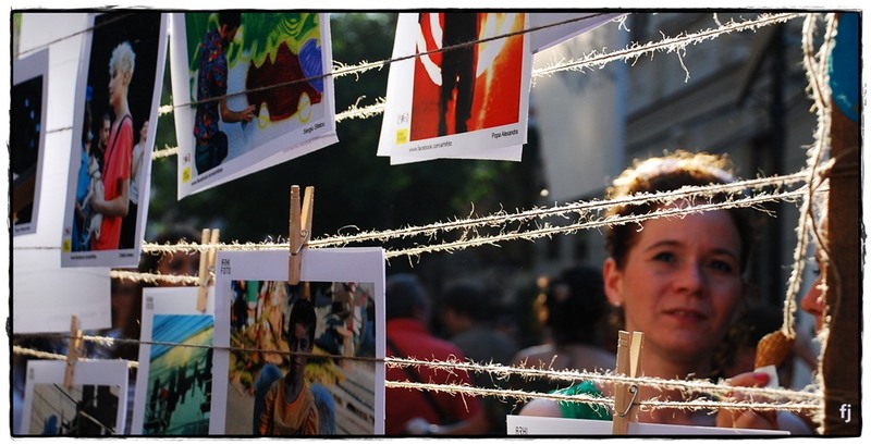 flori-jianu-lungime-30