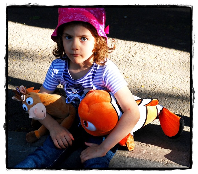 flori-jianu-patrat-16