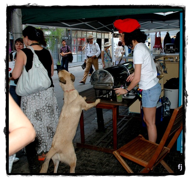 flori-jianu-patrat-2