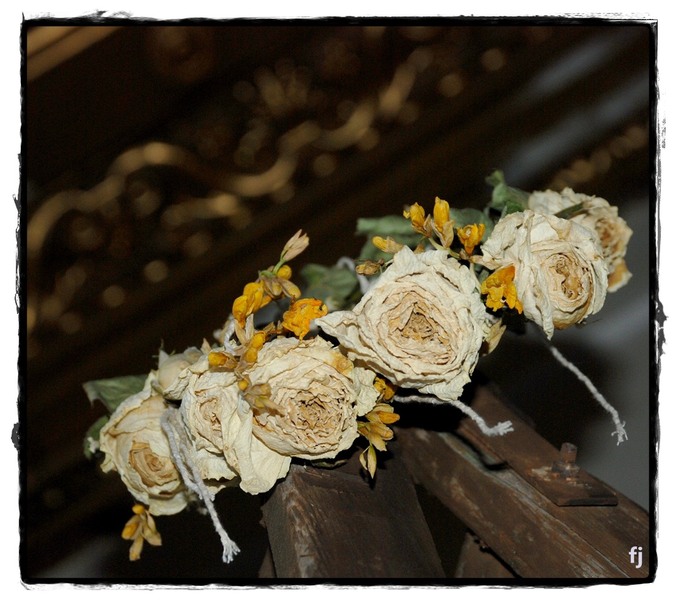 flori-jianu-patrat-7