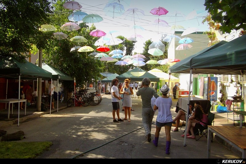 kerucov_2012_dimineata_la_femei_pe_matasari_09