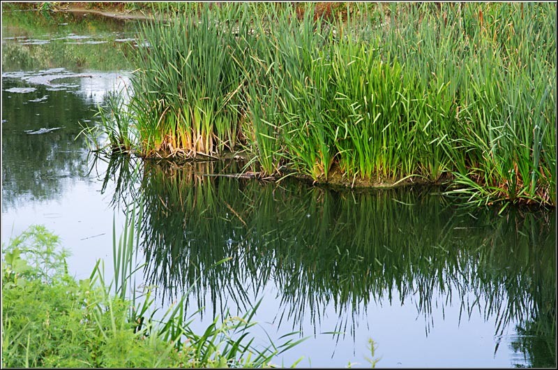 serbanvornicu_dambovita_04