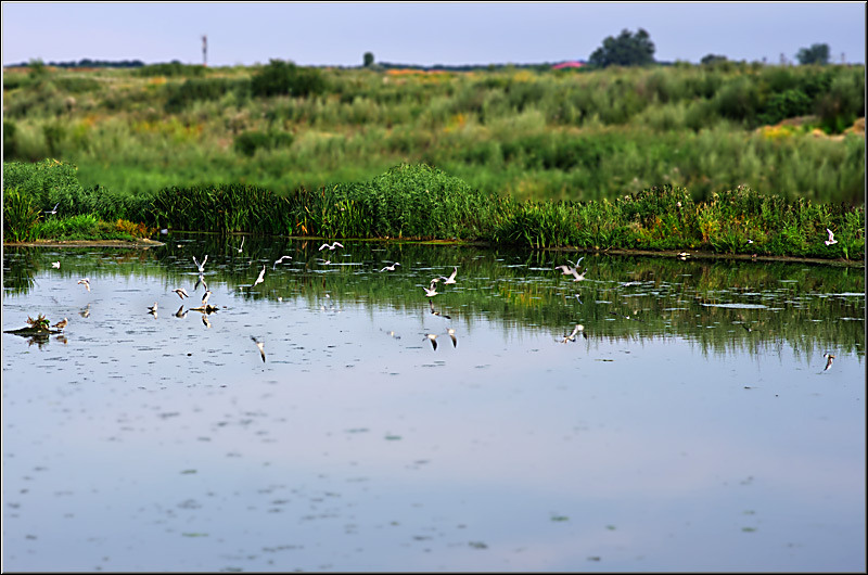 serbanvornicu_dambovita_05