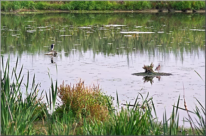 serbanvornicu_dambovita_06