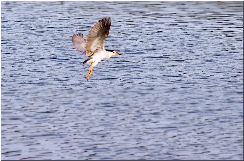 serbanvornicu_dambovita_08