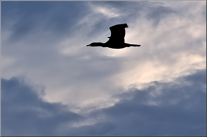 serbanvornicu_dambovita_18