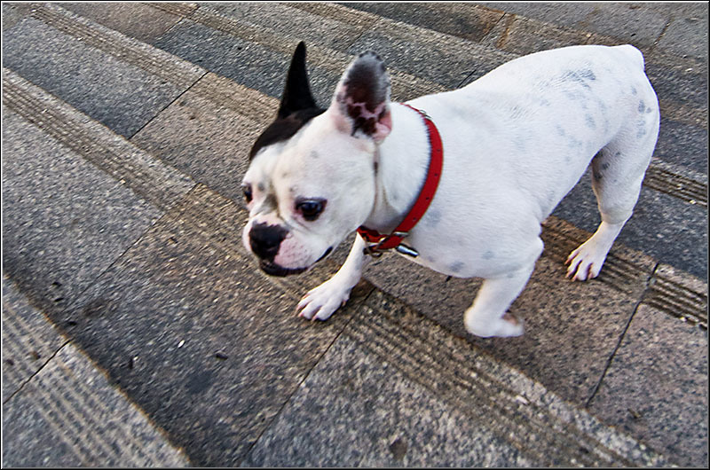 serbanvornicu_dambovita_27