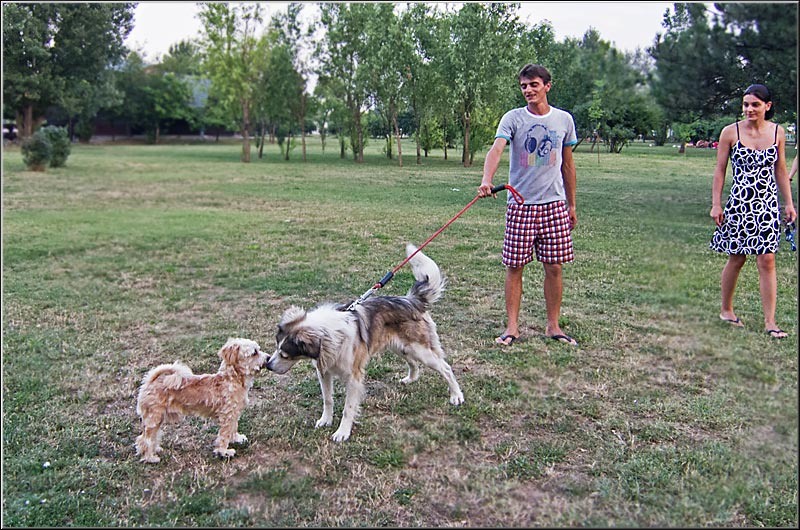 serbanvornicu_dambovita_28