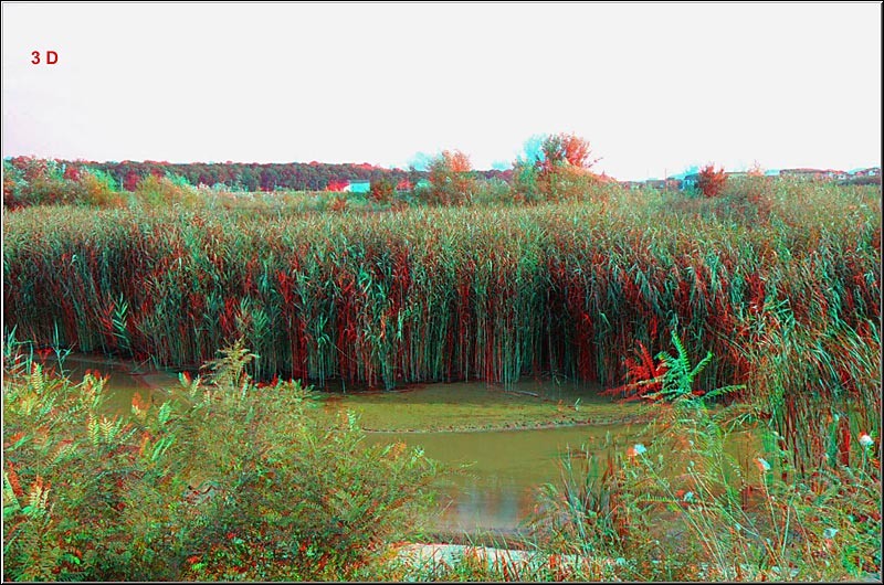 serbanvornicu_dambovita_30