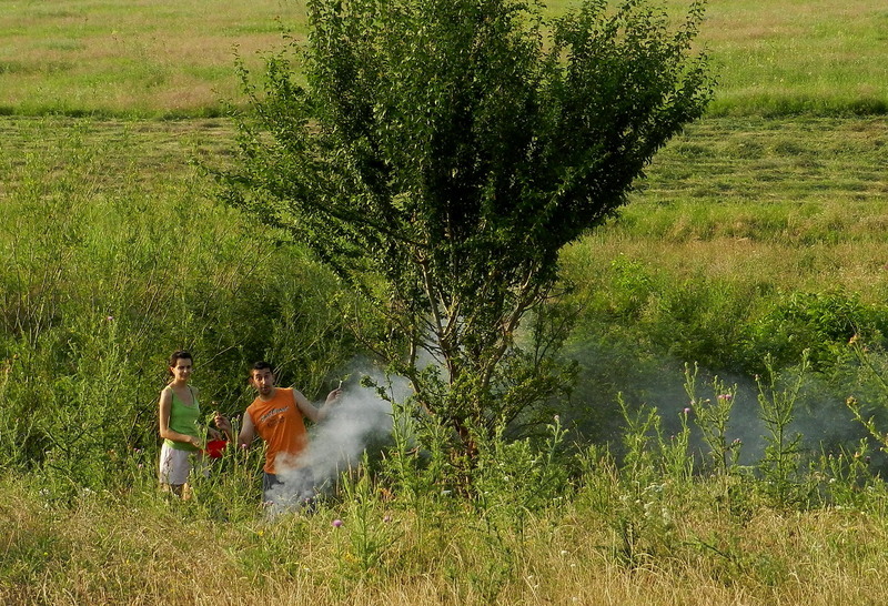 Gratarul frate cu romanul