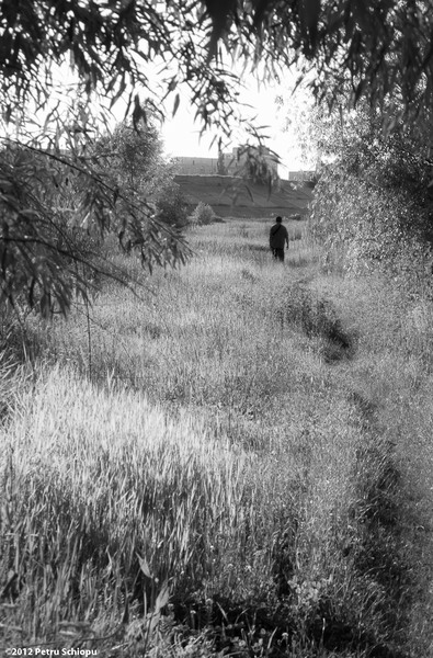 006_delta-dintre-blocuri