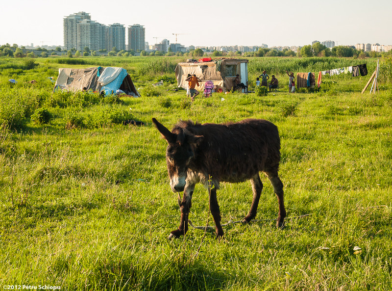 012_delta-dintre-blocuri