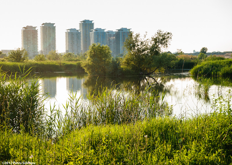 013_delta-dintre-blocuri