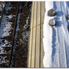 20090110_ads_097