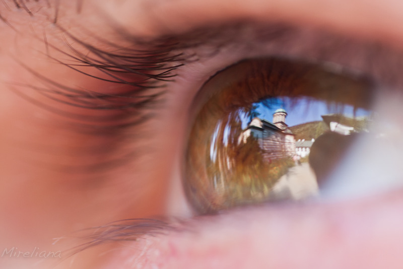 cozia-in-his-eyes-6659