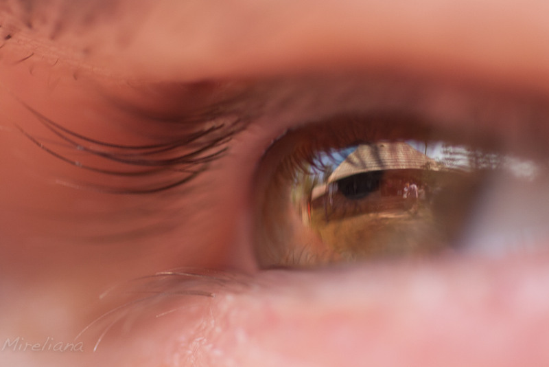 hobita-in-his-eyes-6402