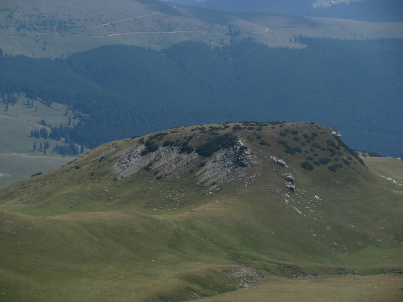 Transalpina
