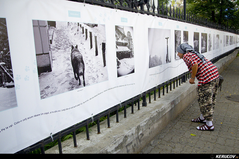 kerucov_2012_vernisaj_ger_in_arsita_verii_orasul_ro_06