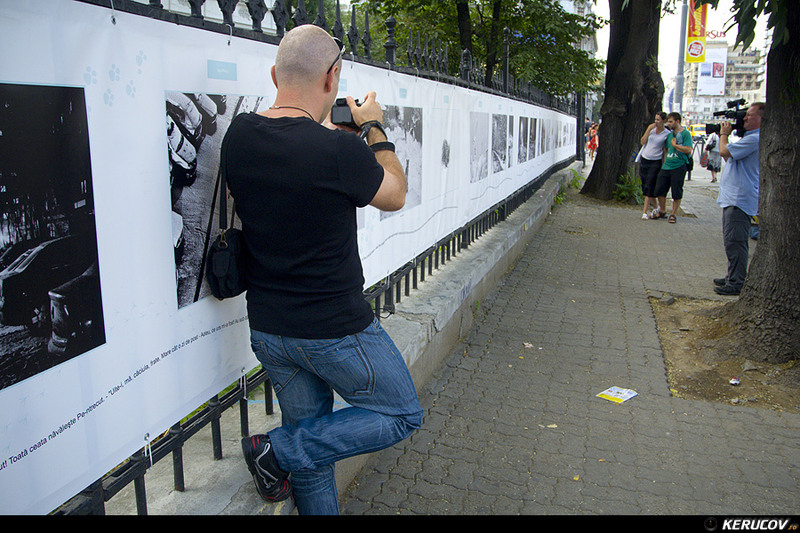 kerucov_2012_vernisaj_ger_in_arsita_verii_orasul_ro_10