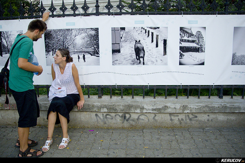 kerucov_2012_vernisaj_ger_in_arsita_verii_orasul_ro_13