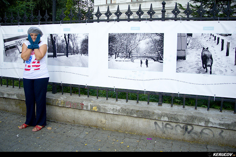 kerucov_2012_vernisaj_ger_in_arsita_verii_orasul_ro_14