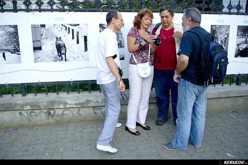 kerucov_2012_vernisaj_ger_in_arsita_verii_orasul_ro_16