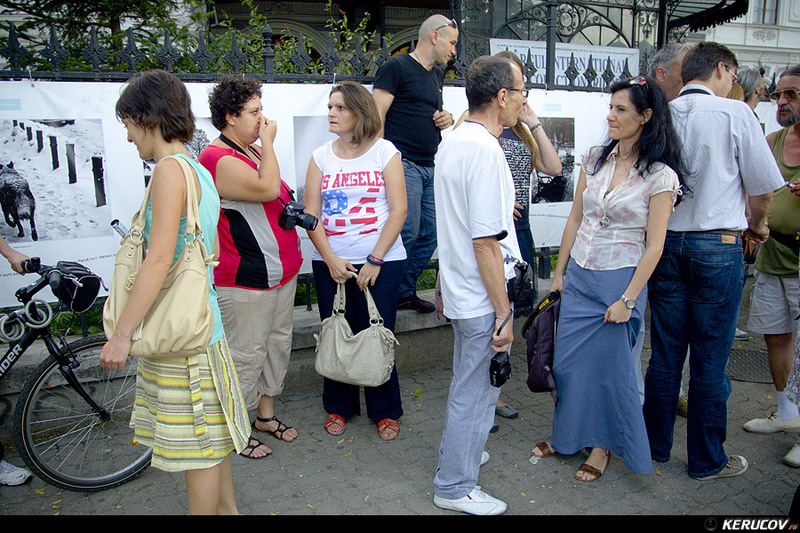 kerucov_2012_vernisaj_ger_in_arsita_verii_orasul_ro_20