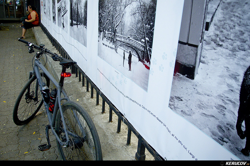 kerucov_2012_vernisaj_ger_in_arsita_verii_orasul_ro_24