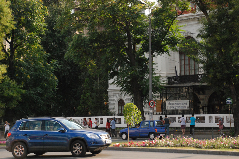 julia-kretsch-dsc_0630