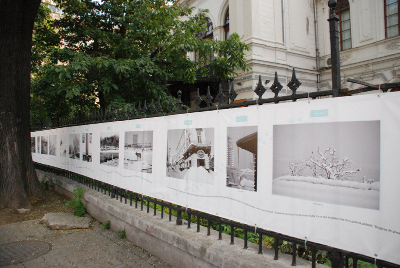 julia-kretsch-dsc_0631